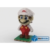 NOTICE DE MONTAGE NILLBRICKS LEGO FIGURINE MARIO 2 : NM00238
