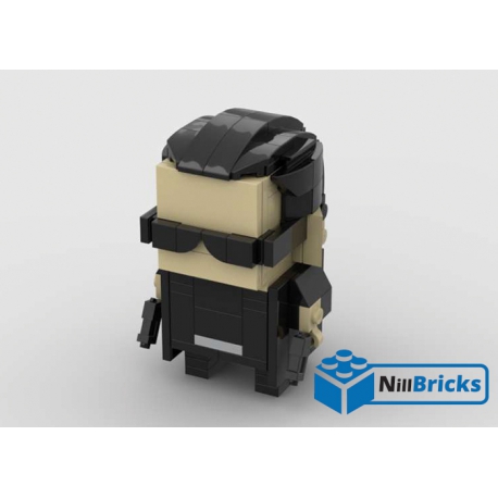 NOTICE DE MONTAGE NILLBRICKS LEGO NEO BRICKHEADZ : NM00273