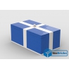 NOTICE DE MONTAGE NILLBRICKS LEGO CADEAU DE NOEL GEANT BLEU : NM00293