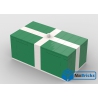 NOTICE DE MONTAGE NILLBRICKS LEGO CADEAU DE NOEL GEANT VERT : NM00295